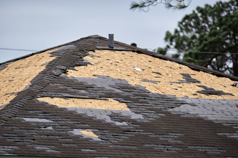Emergency Roof Repair